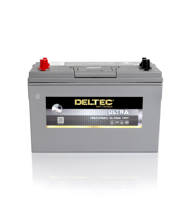 Deltec Battery - AGMM31