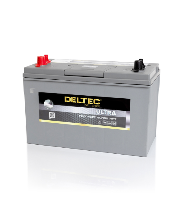 Deltec Battery - AGMM31 - Image 3