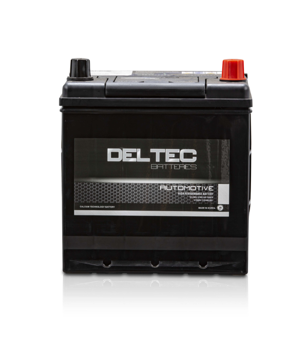 Deltec Battery - 20L