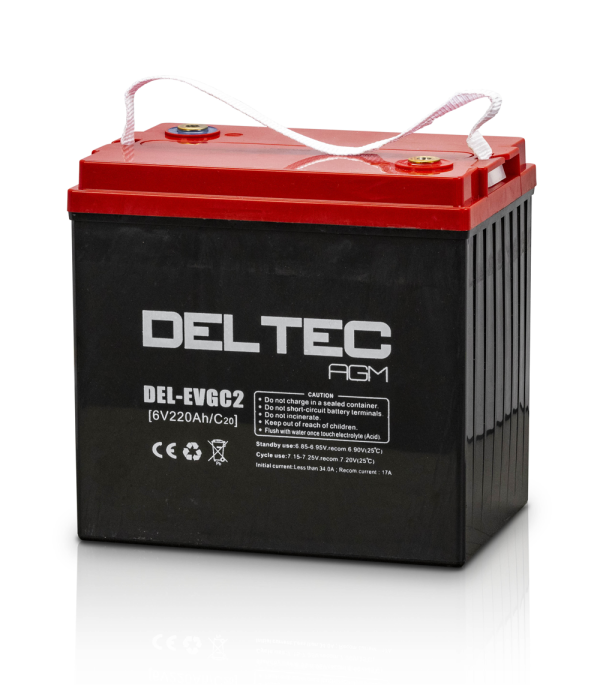 Deltec Battery - EVGC2 - Image 2