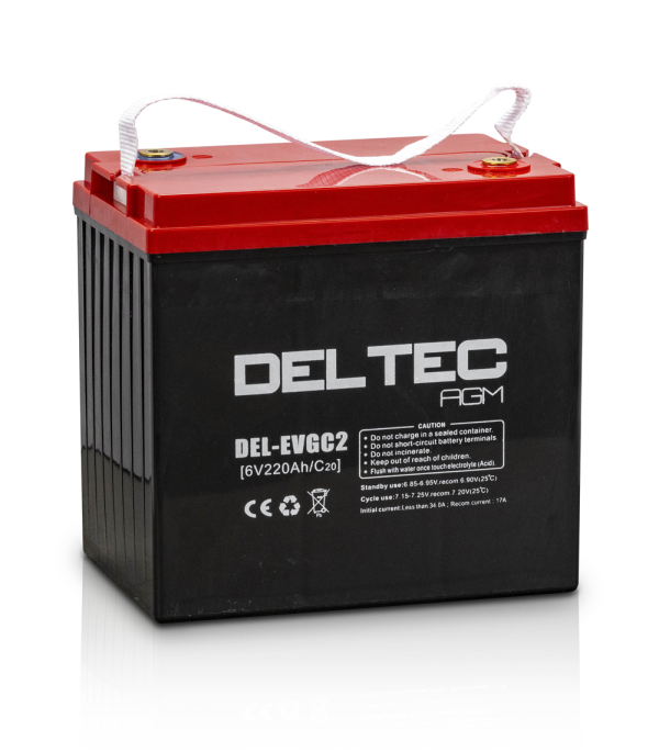 Deltec Battery - EVGC2 - Image 3