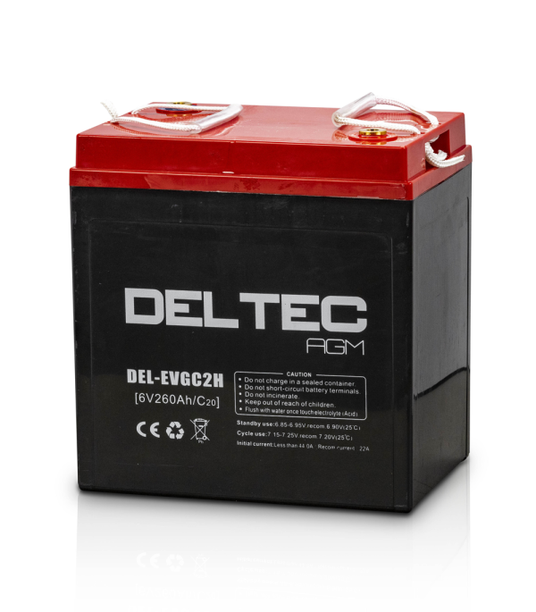 Deltec Battery - EVGC2H - Image 2