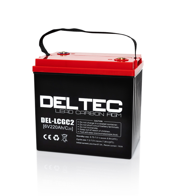 Deltec Battery - LCGC2 - Image 3