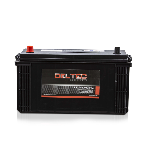 Deltec Battery - N100