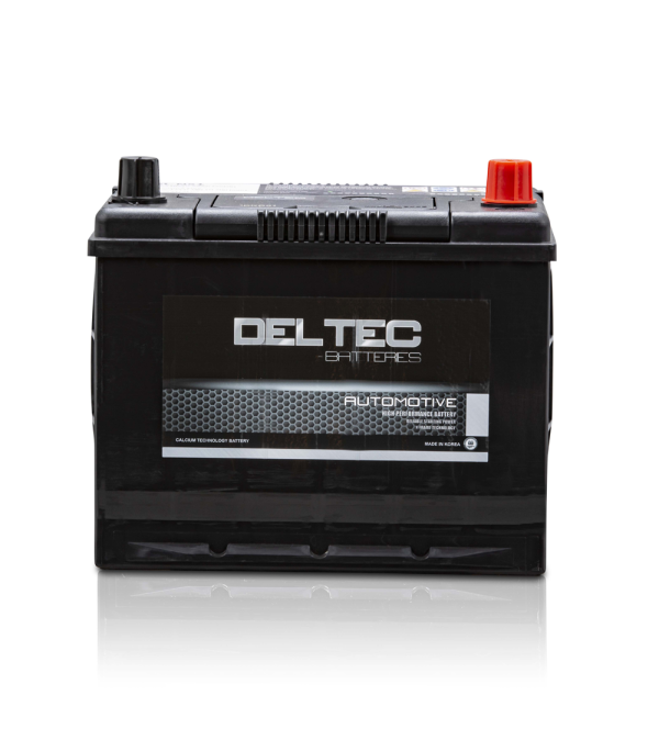 Deltec Battery - N51