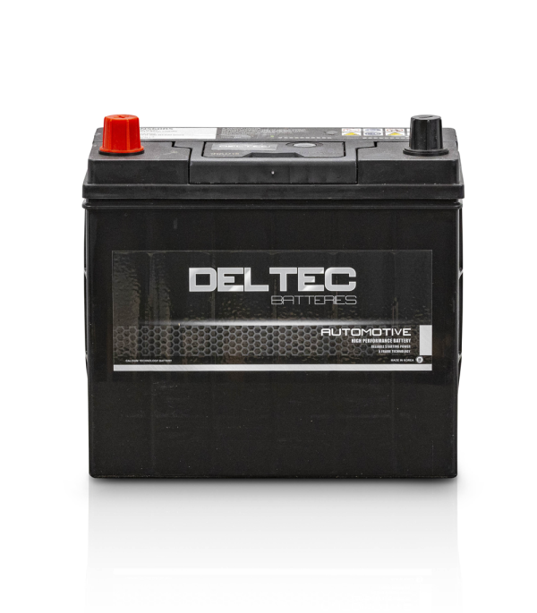 Deltec Battery - NS60RS