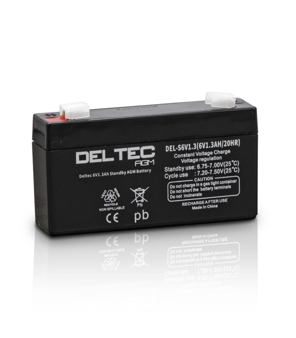 Deltec Battery - S6V1.3 - Image 2